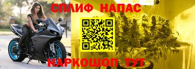 mdpv Можга