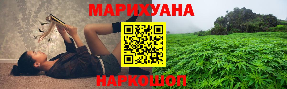 Шишки марихуана план  Бошки Шишки тримм  Вход с VPN  Саки  Конопля индика  Конопля тримм 